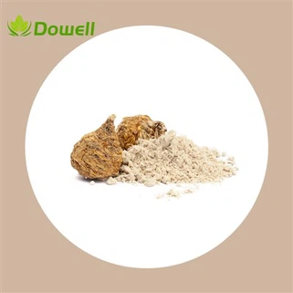 Maca ekstrakta pulveris